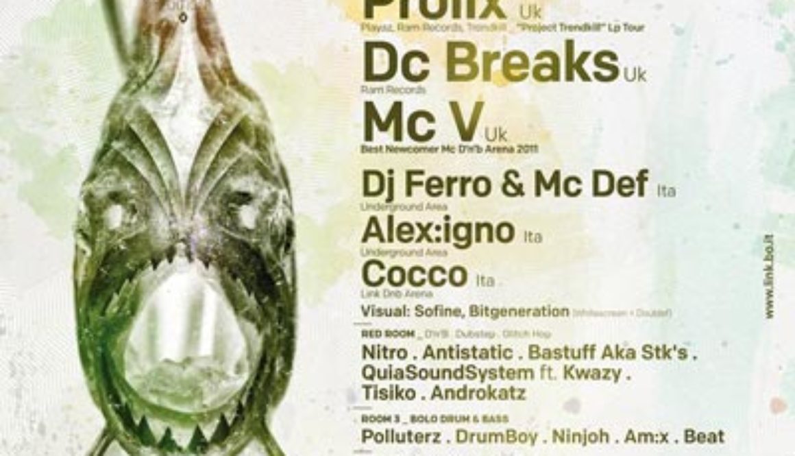 IDM flyer 400