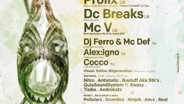 IDM flyer 400