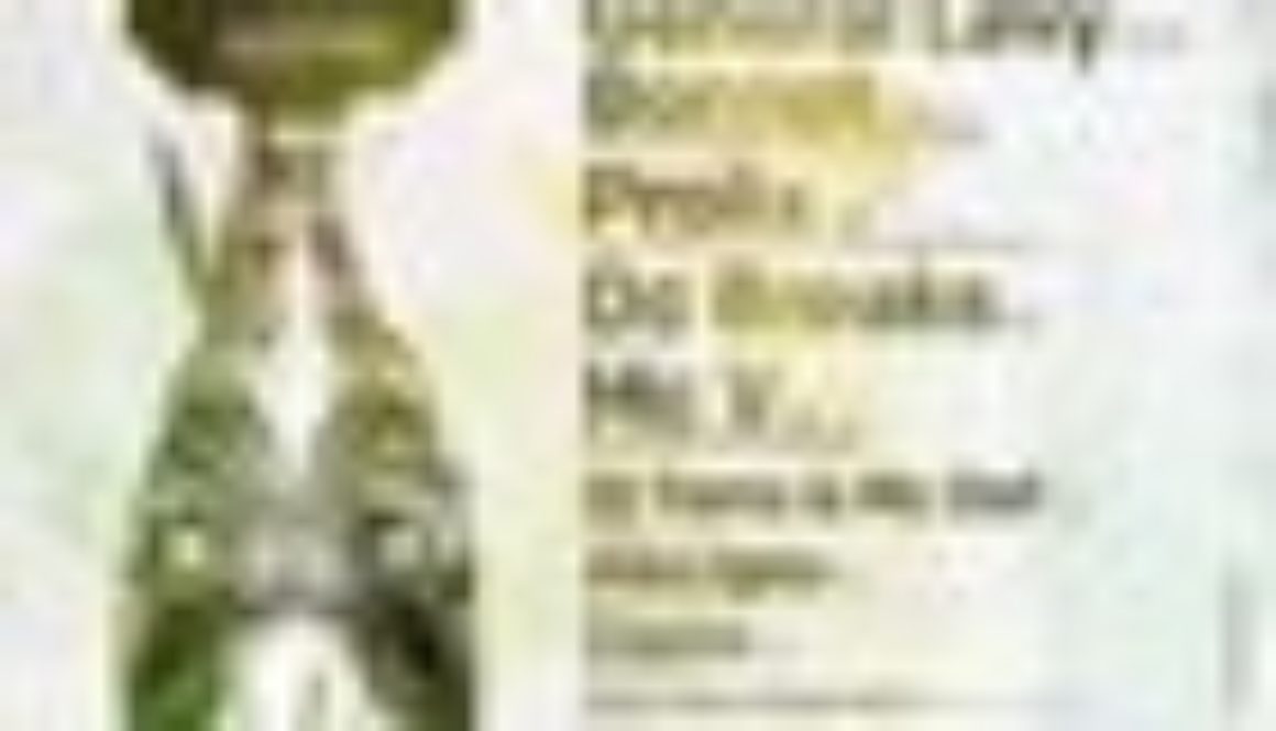 IDM flyer 70