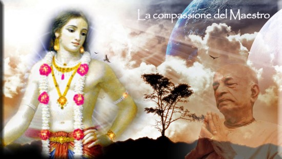 La compassione del Maestro Custom
