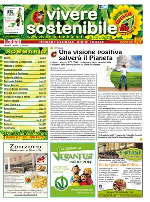 VIS-giugno-2014 300