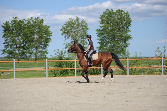 Lo RanchDSC 0538