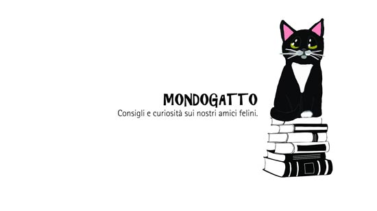 mondogatto 550