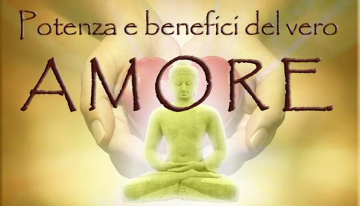 amore 550