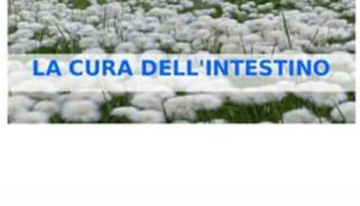 intestino 400