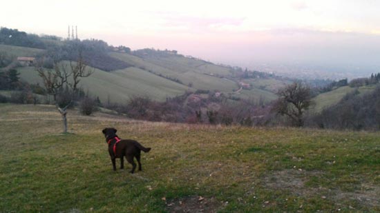 parcogessi