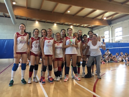 volley  Molinella Volley Custom