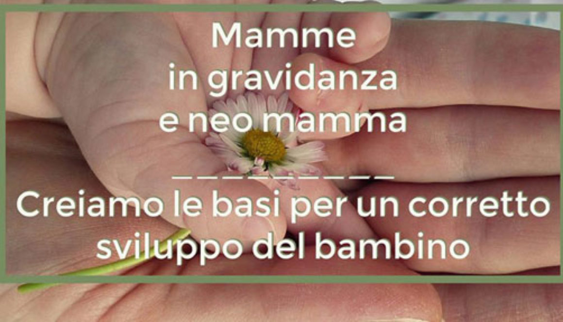 MAMME PERFETTE 550 MAMME PERFETTE 550