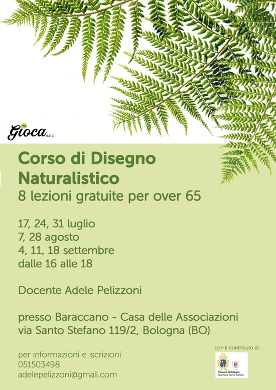 Locandina-Corso-di-Disw