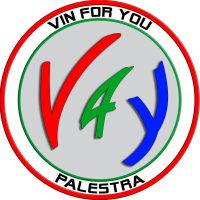 LOGO-VIN-4-YOU