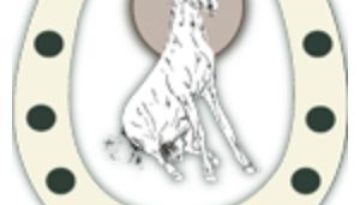 Progetto senza titolo (21)