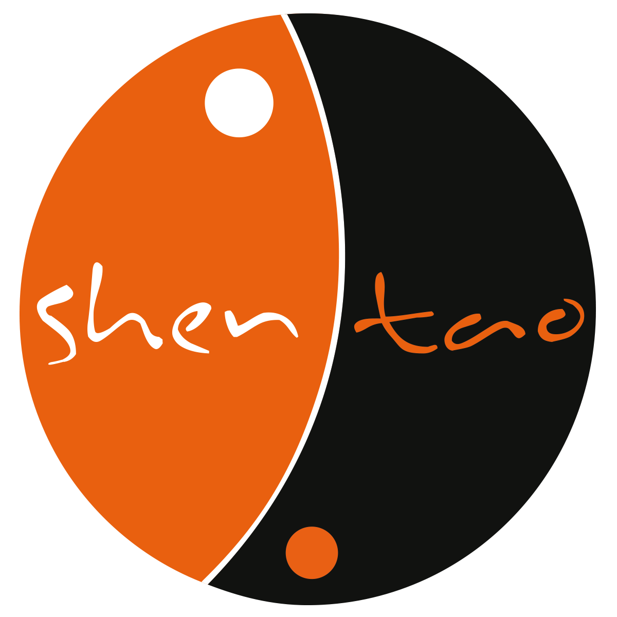 ShenTao-colore