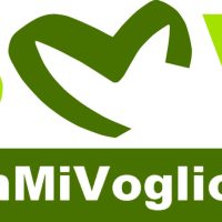 logo BMV 2017