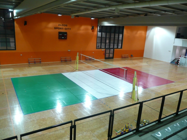 Palestra scolastica Liceo Copernico