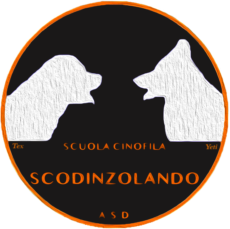 scodinzolando scuola cinofila