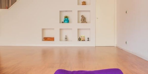 Lezioni Online di Vinyasa Yoga Bologna