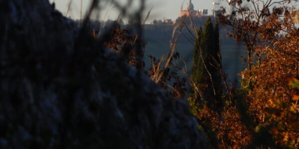 Per una selva oscura – Trekking con l’associazione Vitruvio