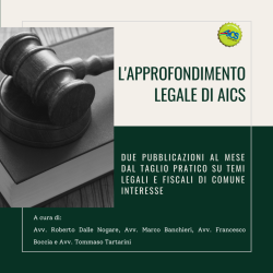 l'approfondimento legale di Aics