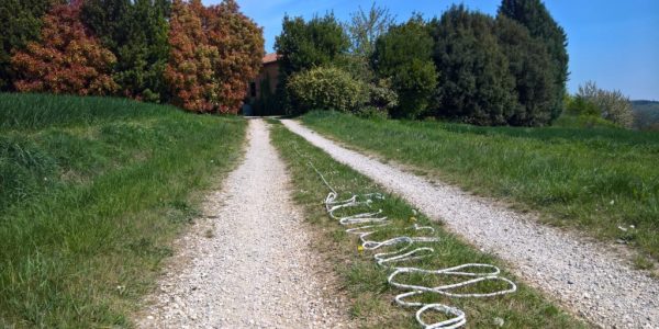 21 giorni di Festa a Scinthilla