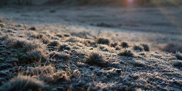 Rise and shine: la soglia dell’inverno
