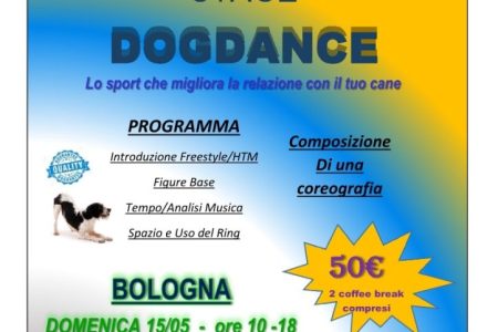 Stage Dogdance