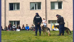 Dimostrazione UNAC I bambini incontrano i cani poliziotto-3