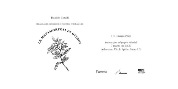 Le metamorfosi di Ovidio – Daniele Catalli