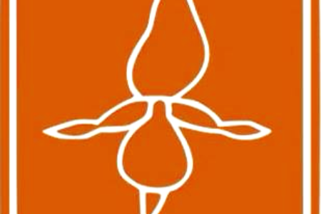 Concetti avanzati di coltivazione – La nutrizione delle orchidee: fisiologia della nutrizione delle orchidee dalla teoria alla pratica