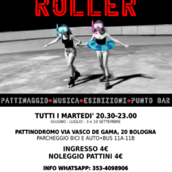 Disco Roller 2024