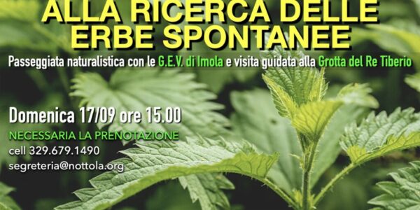 Eventi La Nottola