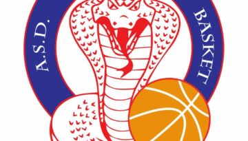 LOGO NAVILE BASKET (1)
