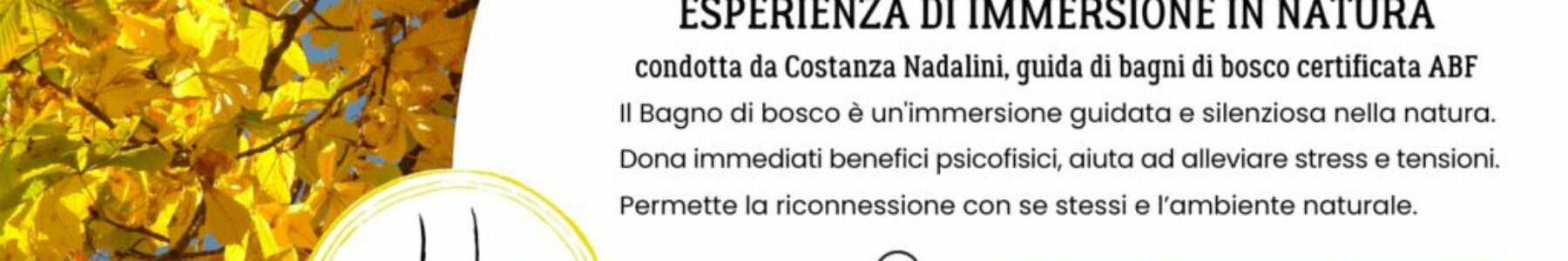 Bagno di Bosco d’Autunno