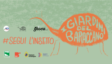 Baraccano