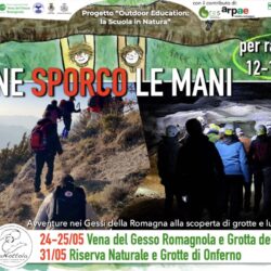me ne sporco le mani